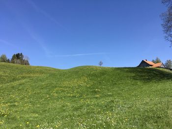 Scenic view of field against clear blue sky