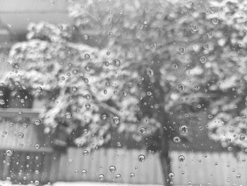 Full frame shot of raindrops on glass window