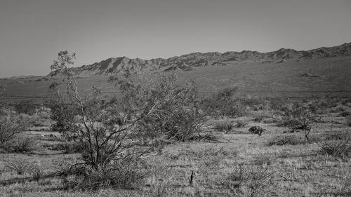 Scenic view of landscape against clear sky