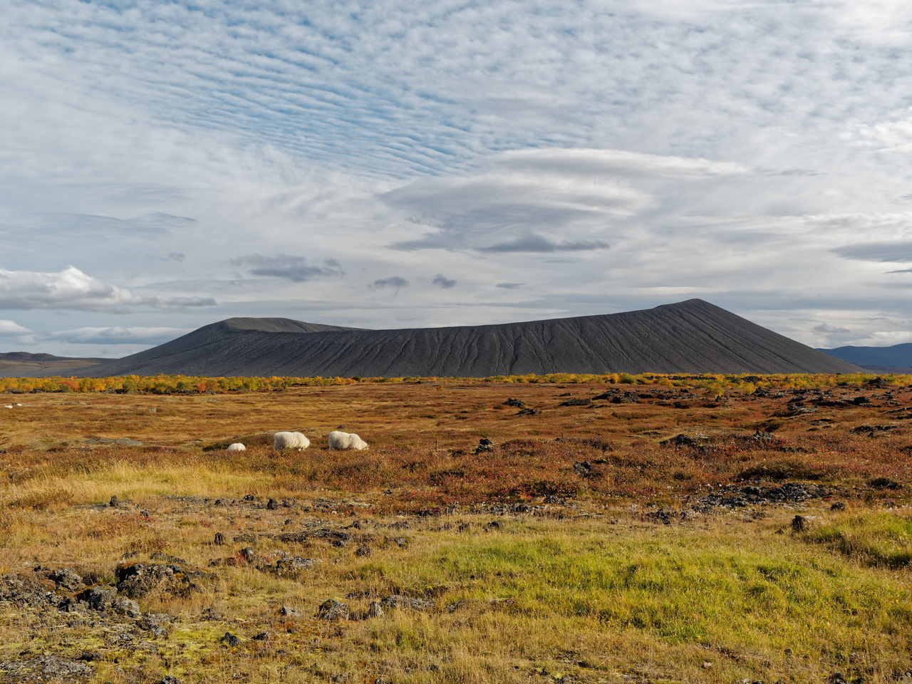 Scoria Cone