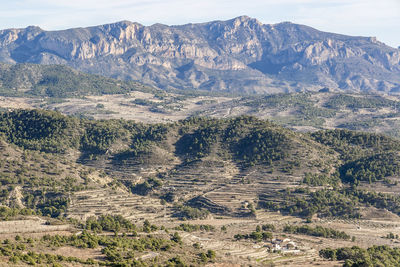 High angle view of trees on landscape against sky