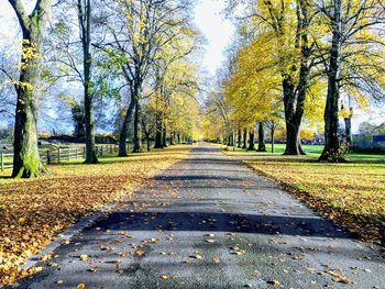 Road amidst trees in park during autumn