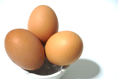 Close-up of eggs against white background