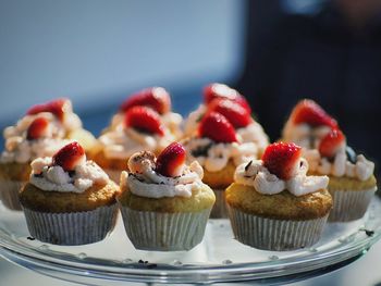 Close-up of cupcakes