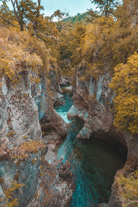 Trees and rocks in water during autumn