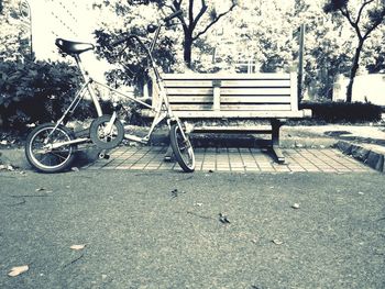Empty bench in park