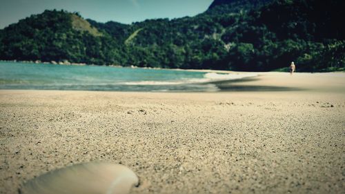 Scenic view of beach