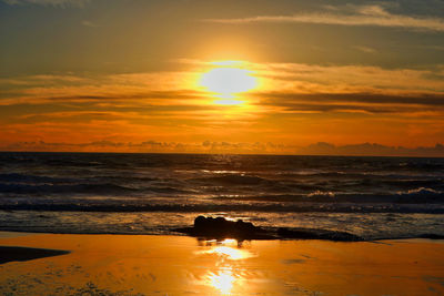 View of dog on beach during sunset