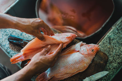 From above crop anonymous cook washing fresh fish for cooking dinner in kitchen