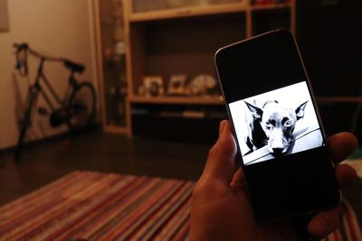 Cropped hand of person looking dog photograph in mobile phone at home