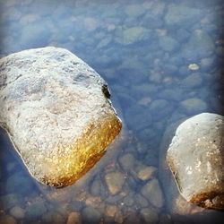Rocks in water