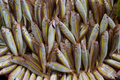 Full frame shot of fresh vegetables in market