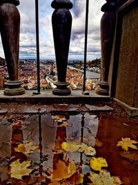 Autumn leaves by lake against sky