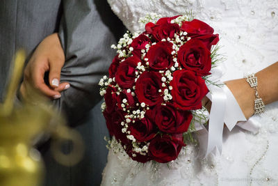 Close-up of red rose