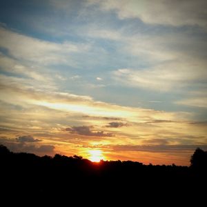 Silhouette of trees at sunset