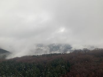 Scenic view of landscape against sky