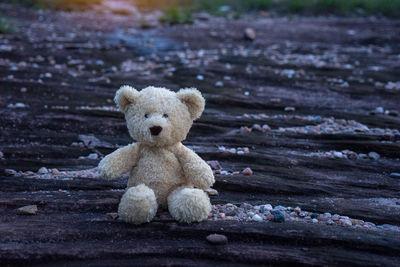 Teddy bear on field