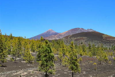 Scenic view of mountains against clear blue sky