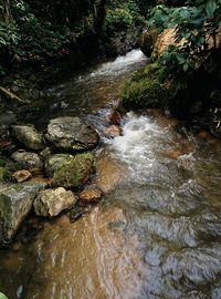 River flowing through rocks in forest