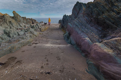 Rear view of woman and dog on rock at beach against sky