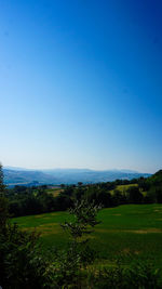 Scenic view of landscape against clear blue sky