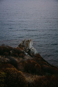 High angle view of rocks at sea shore