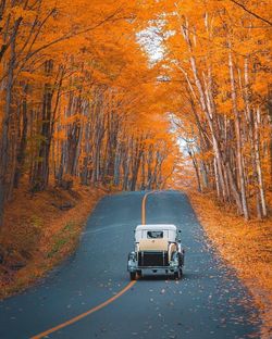 Cars on road in forest during autumn