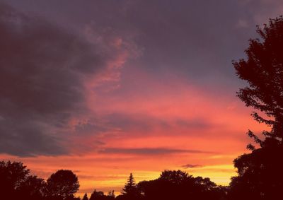 Low angle view of silhouette trees against sky at sunset