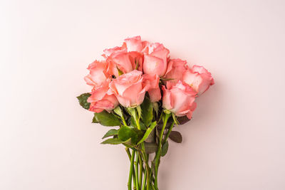Close-up of pink rose flower vase against white background