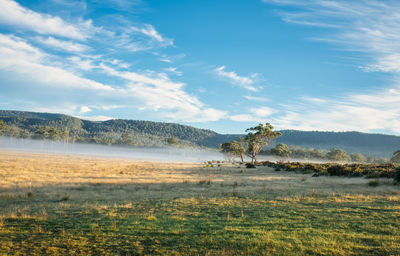 Scenic view of landscape against sky