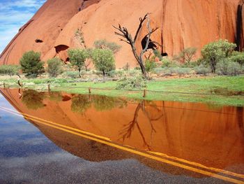 Reflection of trees on water against sky