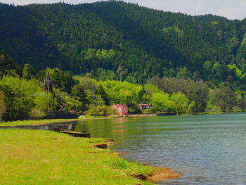 Scenic view of lake in forest