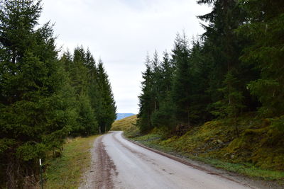 Road amidst trees in forest against sky