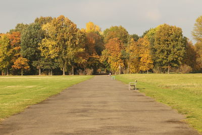 View of trees on landscape during autumn
