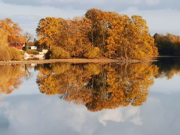 Reflection of trees on lake during autumn