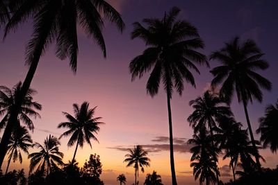 Silhouette palm trees against sky during sunset