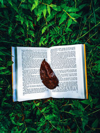 High angle view of open book on field