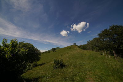 Scenic view of grassy field against cloudy sky