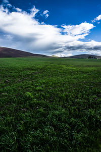 Scenic view of field against sky