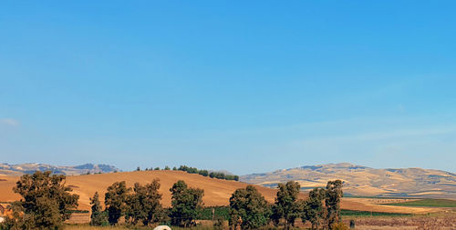 Scenic view of landscape against blue sky