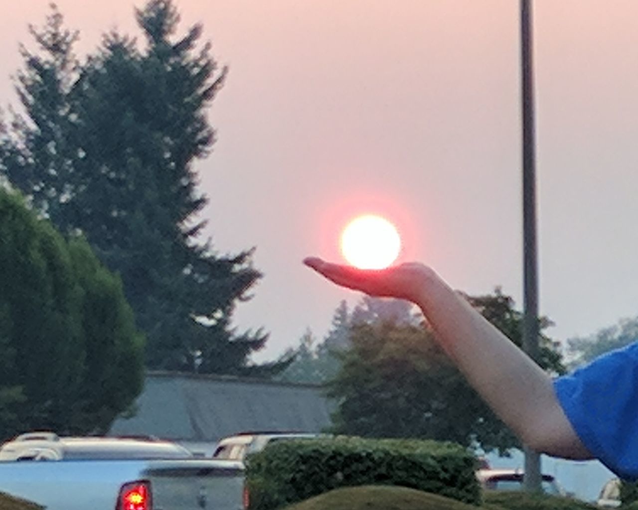 human hand, real people, human body part, one person, lens flare, tree, car, outdoors, day, sun, holding, lifestyles, sky, clear sky, nature, close-up, people