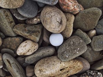 High angle view of golf ball amidst stones