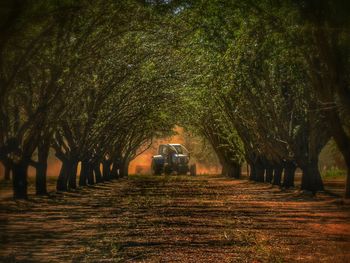 Tractor amidst trees on field