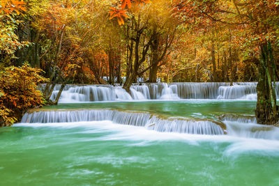 Scenic view of waterfall in forest during autumn