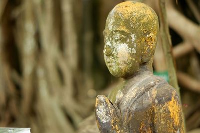 Close-up of old statue