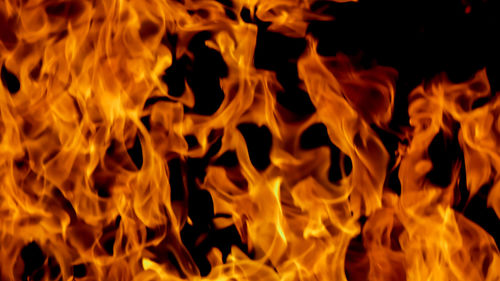 Close-up of fire burning at night