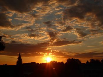 Silhouette trees against dramatic sky during sunset