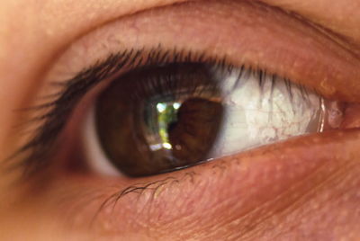 Close-up of human eye