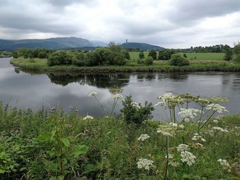 Scenic view of lake against sky