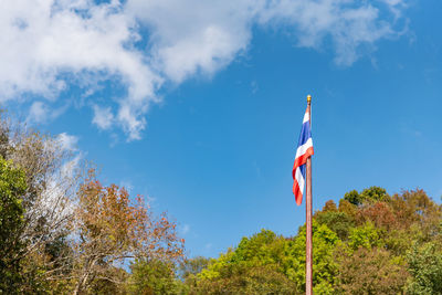 Low angle view of flag amidst trees against blue sky